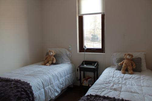 Hotel Patagonia Single x 2