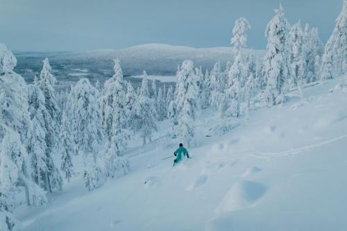 LEVI - Kaamoskuvat-2