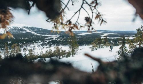 creationTime: 2017-04-10, instructions: Kuvia käytettäessä on mainittava aina kuvan lähteeksi Visit Levi, muodossa Visit Levi. When using pictures, always mention Visit Levi as the source of the image, as Visit Levi.